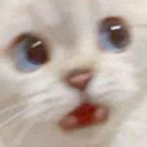 Meet your Posher, Jaryd